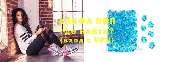 альфа пвп Новодвинск