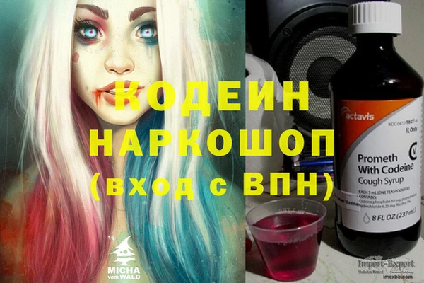 дурь Нея