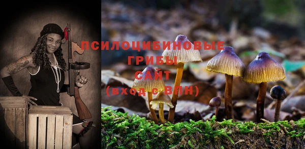 гидра Нефтекумск