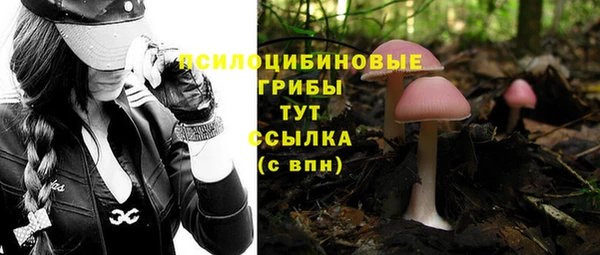 дурь Нея